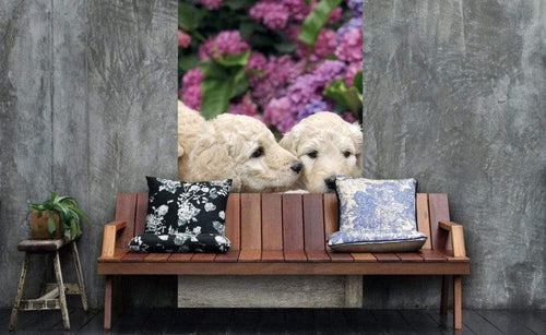 Dimex Labrador Puppies Fotobehang 150x250cm 2 banen Sfeer | Yourdecoration.nl
