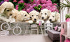 Dimex Labrador Puppies Fotobehang 375x250cm 5 banen Sfeer | Yourdecoration.nl