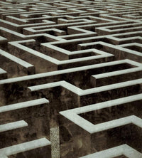 Dimex Labyrinth Fotobehang 225x250cm 3 banen | Yourdecoration.nl