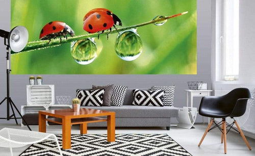 Dimex Ladybird Fotobehang 375x150cm 5 banen Sfeer | Yourdecoration.nl