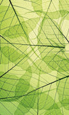 Dimex Leaf Veins Fotobehang 150x250cm 2 banen | Yourdecoration.nl