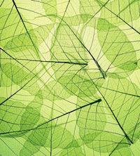 Dimex Leaf Veins Fotobehang 225x250cm 3 banen | Yourdecoration.nl