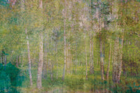 Dimex Leaves Abstract Fotobehang 375x250cm 5 banen | Yourdecoration.nl
