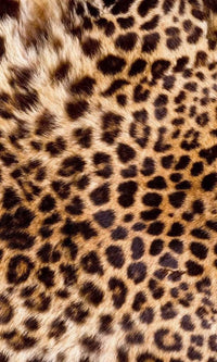 Dimex Leopard Skin Fotobehang 150x250cm 2 banen | Yourdecoration.nl
