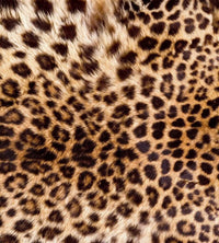 Dimex Leopard Skin Fotobehang 225x250cm 3 banen | Yourdecoration.nl
