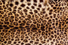 Dimex Leopard Skin Fotobehang 375x250cm 5 banen | Yourdecoration.nl