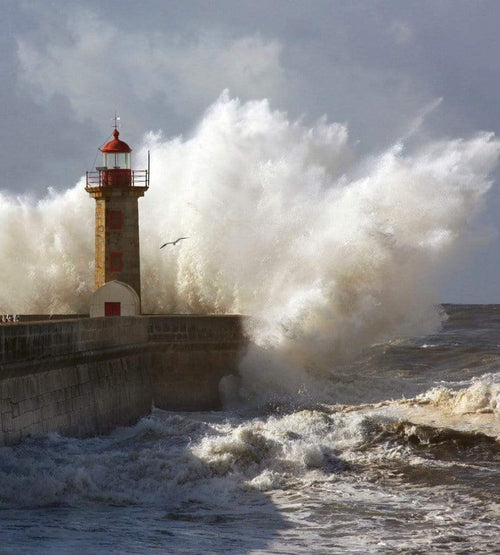 Dimex Lighthouse Fotobehang 225x250cm 3 banen | Yourdecoration.nl