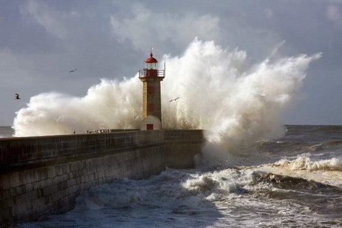 Dimex Lighthouse Fotobehang 375x250cm 5 banen | Yourdecoration.nl