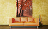 Dimex Misty Forest Fotobehang 150x250cm 2 banen Sfeer | Yourdecoration.nl