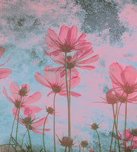 Dimex Pink Flower Abstract Fotobehang 225x250cm 3 banen | Yourdecoration.nl