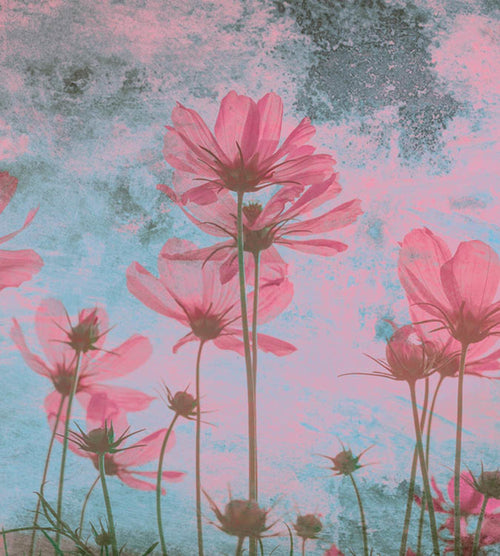Dimex Pink Flower Abstract Fotobehang 225x250cm 3 banen | Yourdecoration.nl