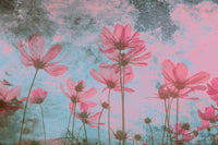 Dimex Pink Flower Abstract Fotobehang 375x250cm 5 banen | Yourdecoration.nl