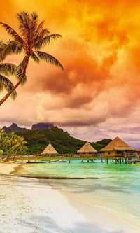 Dimex Polynesia Fotobehang 150x250cm 2 banen | Yourdecoration.nl