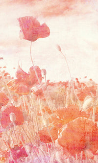 Dimex Poppies Abstract Fotobehang 150x250cm 2 banen | Yourdecoration.nl