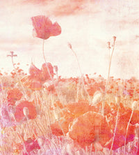 Dimex Poppies Abstract Fotobehang 225x250cm 3 banen | Yourdecoration.nl