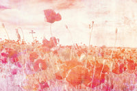 Dimex Poppies Abstract Fotobehang 375x250cm 5 banen | Yourdecoration.nl