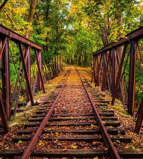 Dimex Railroad Fotobehang 225x250cm 3 banen | Yourdecoration.nl