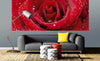Dimex Red Rose Fotobehang 375x150cm 5 banen Sfeer | Yourdecoration.nl