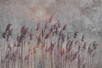 Dimex Reed Abstract Fotobehang 375x250cm 5 banen | Yourdecoration.nl