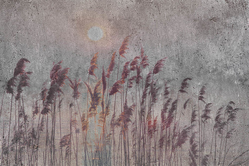 Dimex Reed Abstract Fotobehang 375x250cm 5 banen | Yourdecoration.nl
