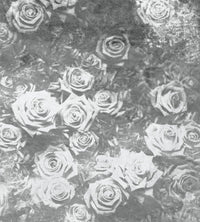 Dimex Roses Abstract II Fotobehang 225x250cm 3 banen | Yourdecoration.nl