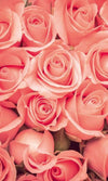 Dimex Roses Fotobehang 150x250cm 2 banen | Yourdecoration.nl