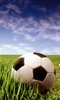 Dimex Soccer Ball Fotobehang 150x250cm 2 banen | Yourdecoration.nl