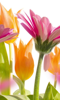 Dimex Spring Flowers Fotobehang 150x250cm 2 banen | Yourdecoration.nl