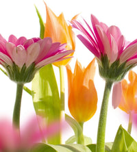 Dimex Spring Flowers Fotobehang 225x250cm 3 banen | Yourdecoration.nl