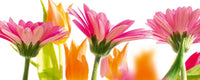 Dimex Spring Flowers Fotobehang 375x150cm 5 banen | Yourdecoration.nl
