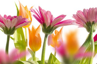 Dimex Spring Flowers Fotobehang 375x250cm 5 banen | Yourdecoration.nl