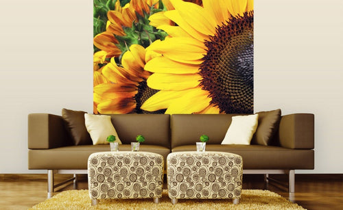 Dimex Sunflowers Fotobehang 225x250cm 3 banen Sfeer | Yourdecoration.nl