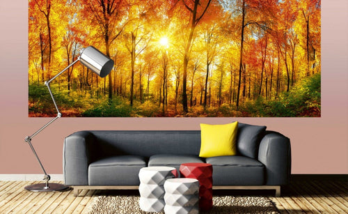 Dimex Sunny Forest Fotobehang 375x150cm 5 banen Sfeer | Yourdecoration.nl