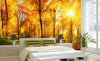 Dimex Sunny Forest Fotobehang 375x250cm 5 banen Sfeer | Yourdecoration.nl