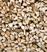 Dimex Timber Logs Fotobehang 225x250cm 3 banen | Yourdecoration.nl