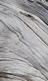 Dimex Tree Texture Fotobehang 150x250cm 2 banen | Yourdecoration.nl