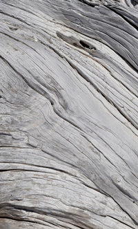 Dimex Tree Texture Fotobehang 150x250cm 2 banen | Yourdecoration.nl