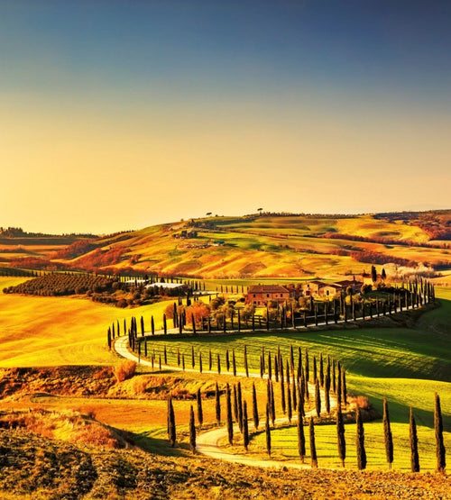 Dimex Tuscany Fotobehang 225x250cm 3 banen | Yourdecoration.nl