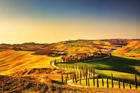 Dimex Tuscany Fotobehang 375x250cm 5 banen | Yourdecoration.nl