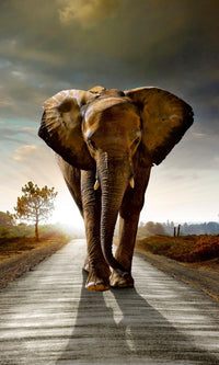 Dimex Walking Elephant Fotobehang 150x250cm 2 banen | Yourdecoration.nl