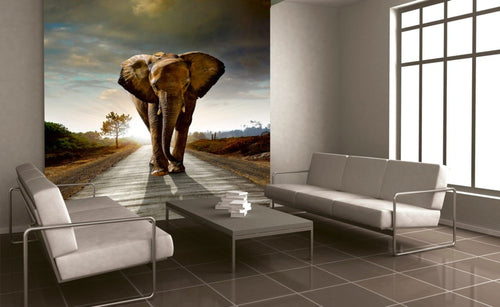 Dimex Walking Elephant Fotobehang 225x250cm 3 banen Sfeer | Yourdecoration.nl