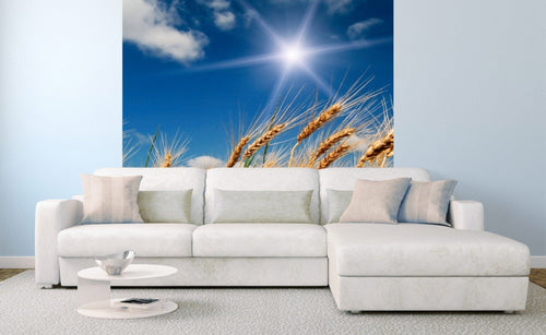 Dimex Wheat Field Fotobehang 225x250cm 3 banen Sfeer | Yourdecoration.nl