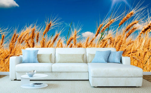 Dimex Wheat Field Fotobehang 375x250cm 5 banen Sfeer | Yourdecoration.nl