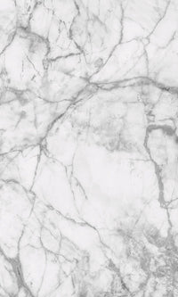 Dimex White Marble Fotobehang 150x250cm 2 banen | Yourdecoration.nl