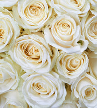 Dimex White Roses Fotobehang 225x250cm 3 banen | Yourdecoration.nl