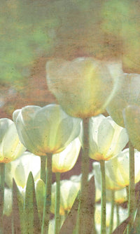 Dimex White Tulips Abstract Fotobehang 150x250cm 2 banen | Yourdecoration.nl