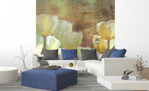 Dimex White Tulips Abstract Fotobehang 225x250cm 3 banen sfeer | Yourdecoration.nl