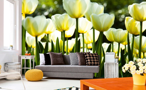 Dimex White Tulips Fotobehang 375x250cm 5 banen Sfeer | Yourdecoration.nl