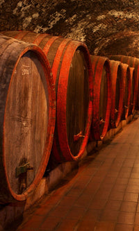 Dimex Wine Barrels Fotobehang 150x250cm 2 banen | Yourdecoration.nl