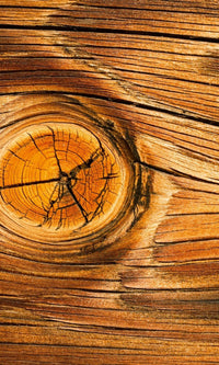 Dimex Wood knot Fotobehang 150x250cm 2 banen | Yourdecoration.nl